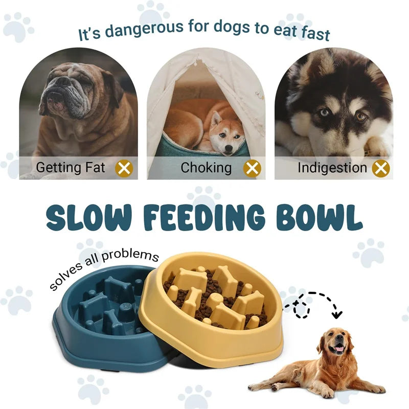 Dog Slow Feeder Bowl – Anti-Choking Food Bowl for Healthy Eating
