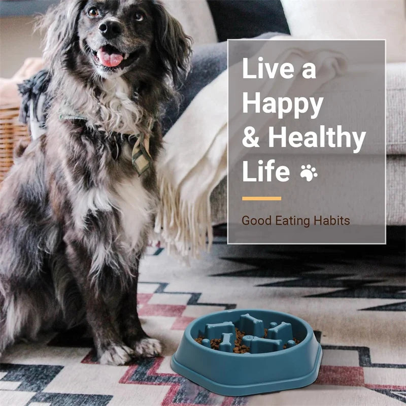 Dog Slow Feeder Bowl – Anti-Choking Food Bowl for Healthy Eating