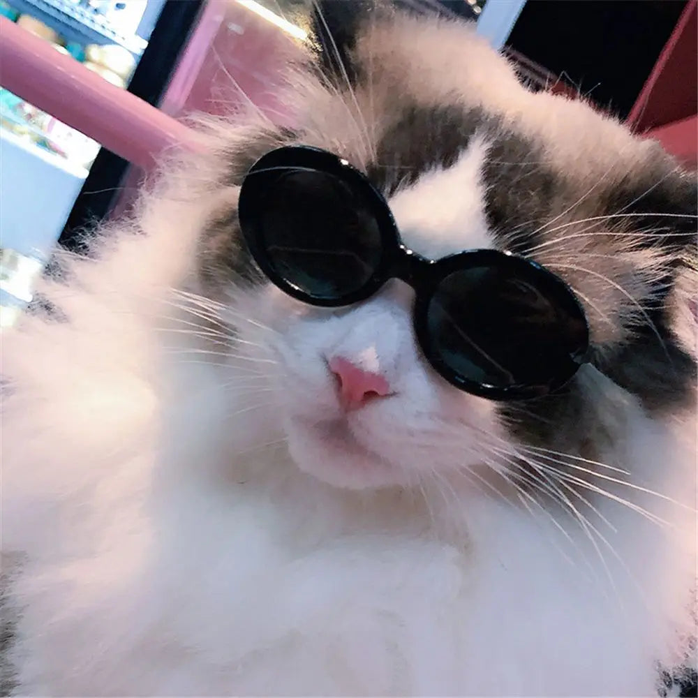 Cool Multicolor Pet Sunglasses – Round Frames for Cats & Dogs