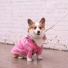 Waterproof Dog Coat – Windproof Jacket for All Sizes