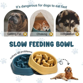 Dog Slow Feeder Bowl – Anti-Choking Food Bowl for Healthy Eating
